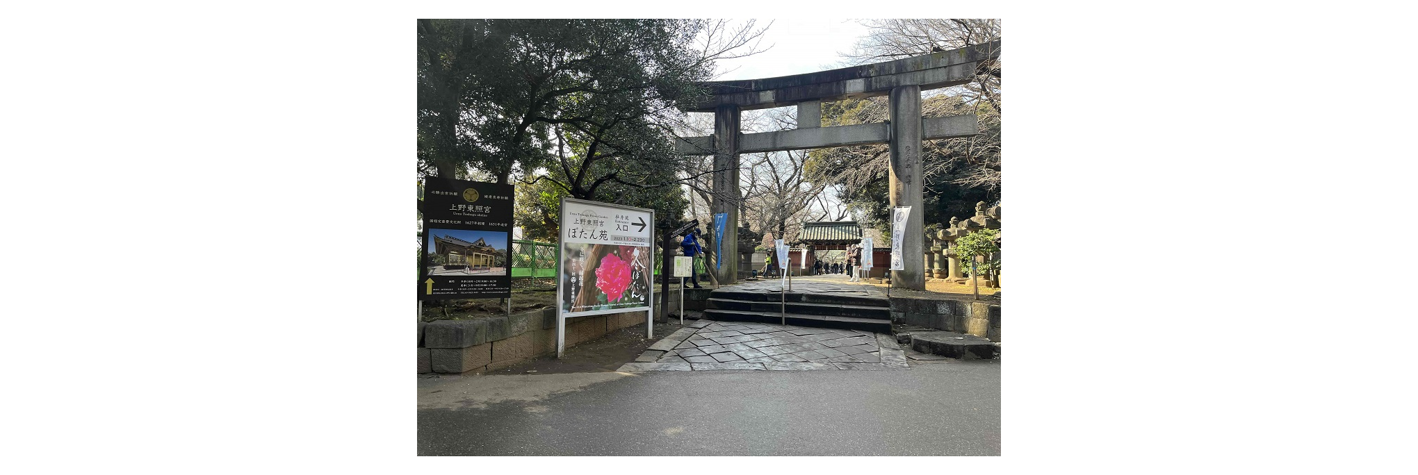 上野東照宮とぼたん苑